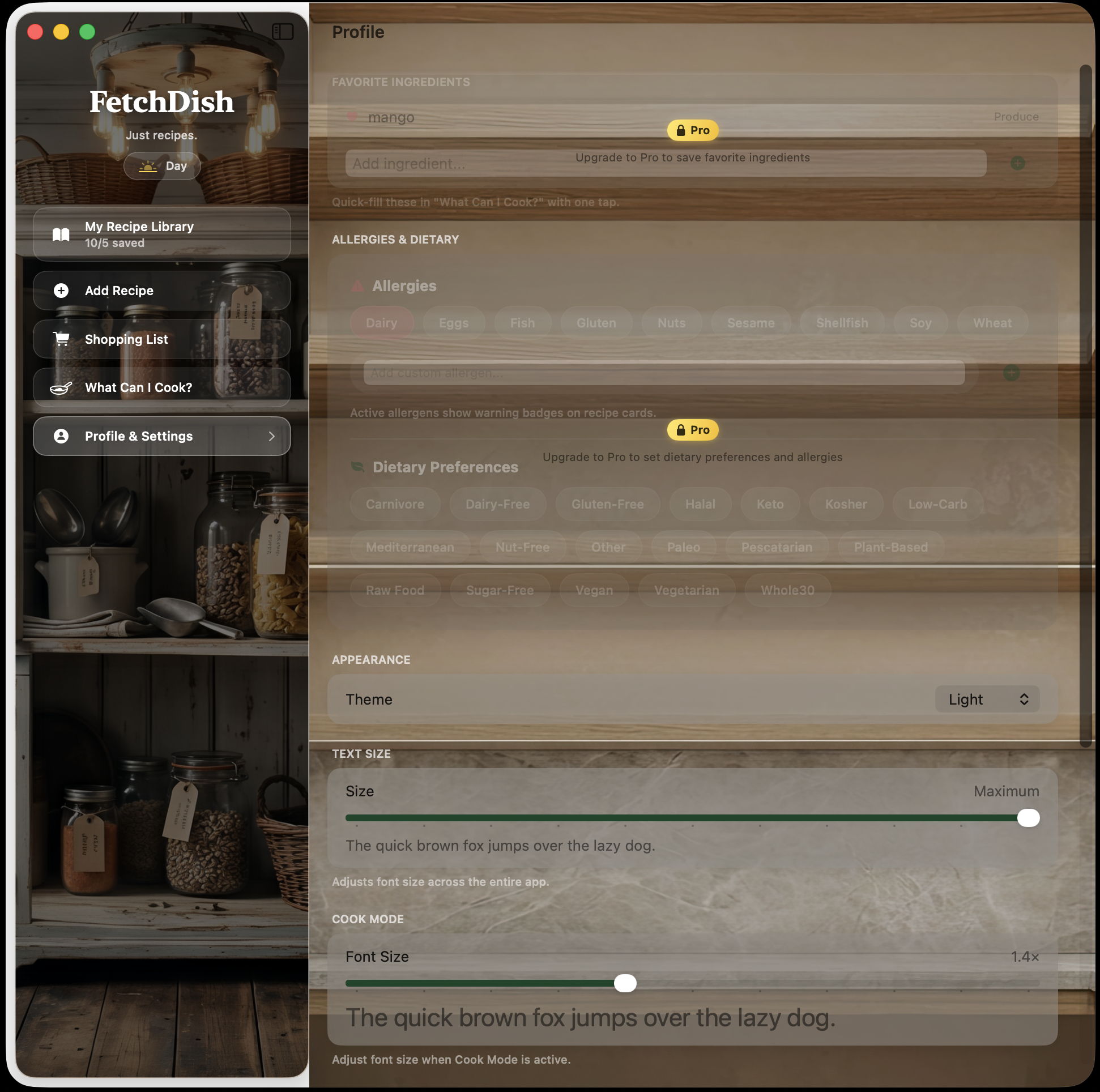 FetchDish settings — dietary preferences, allergies, appearance and text size